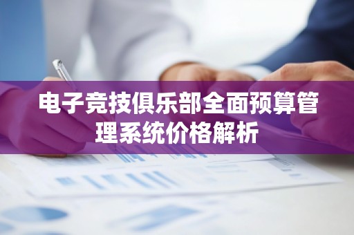 电子竞技俱乐部全面预算管理系统价格解析