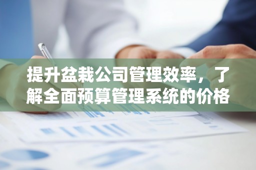 提升盆栽公司管理效率,了解全面预算管理系统的价格优势