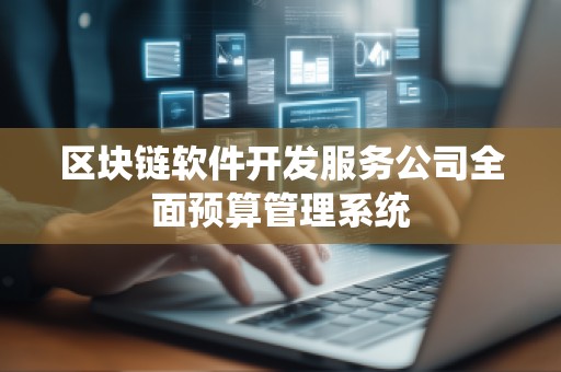 区块链软件开发服务公司全面预算管理系统
