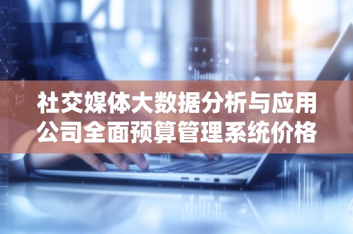 社交媒体大数据分析与应用公司全面预算管理系统价格解析