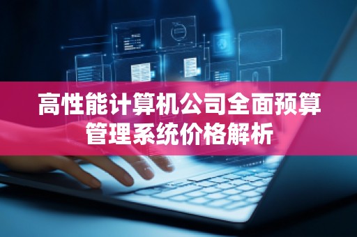 高性能计算机公司全面预算管理系统价格解析