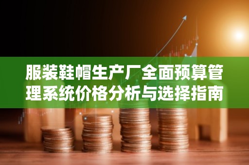服装鞋帽生产厂全面预算管理系统价格分析与选择指南