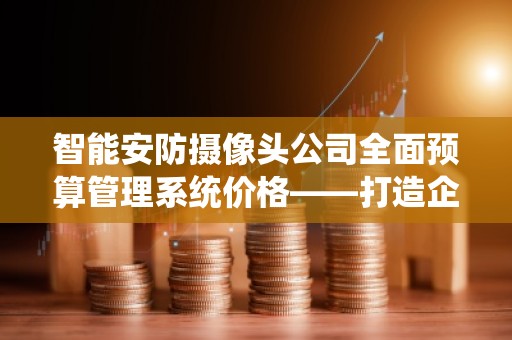 智能安防摄像头公司全面预算管理系统价格——打造企业财务管理新模式