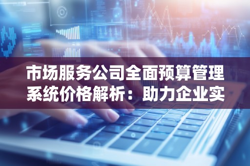 市场服务公司全面预算管理系统价格解析:助力企业实现精细化管理