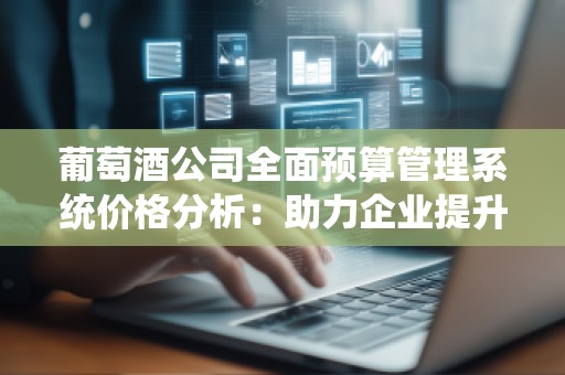 葡萄酒公司全面预算管理系统价格分析:助力企业提升管理效率