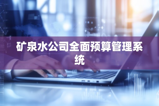 矿泉水公司全面预算管理系统