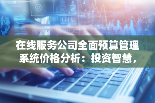 在线服务公司全面预算管理系统价格分析:投资智慧,提升效率