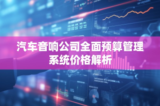 汽车音响公司全面预算管理系统价格解析