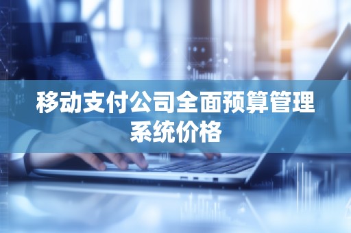 移动支付公司全面预算管理系统价格