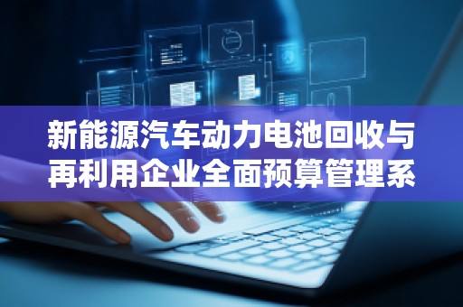 新能源汽车动力电池回收与再利用企业全面预算管理系统价格探讨