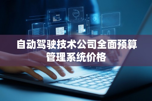 自动驾驶技术公司全面预算管理系统价格