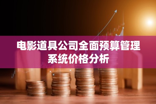 电影道具公司全面预算管理系统价格分析