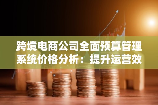 跨境电商公司全面预算管理系统价格分析：提升运营效率的关键