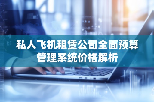 私人飞机租赁公司全面预算管理系统价格解析