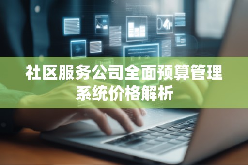 社区服务公司全面预算管理系统价格解析
