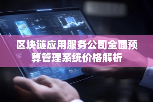 区块链应用服务公司全面预算管理系统价格解析