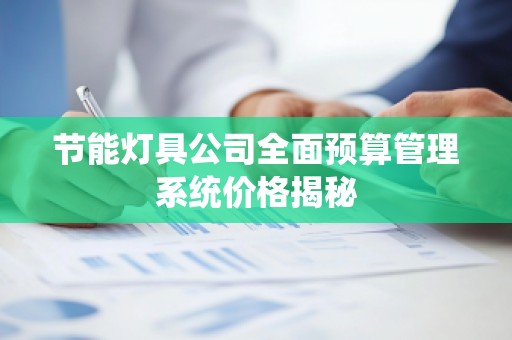 节能灯具公司全面预算管理系统价格揭秘