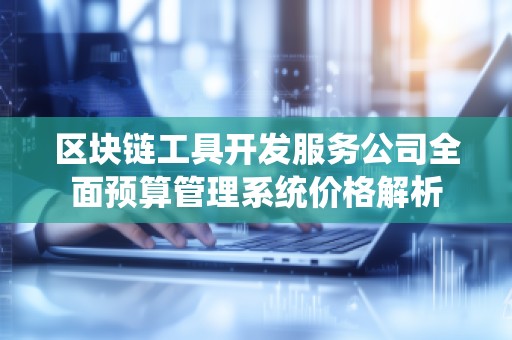 区块链工具开发服务公司全面预算管理系统价格解析