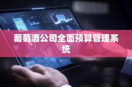 葡萄酒公司全面预算管理系统
