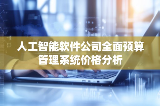人工智能软件公司全面预算管理系统价格分析