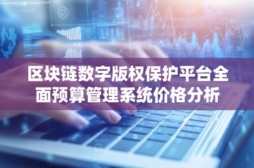 区块链数字版权保护平台全面预算管理系统价格分析
