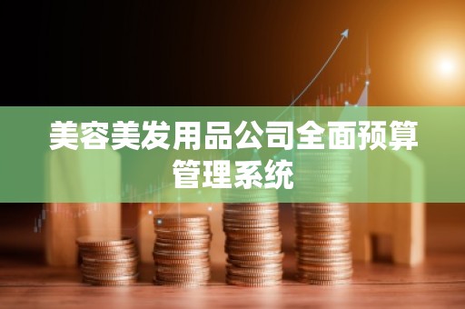 美容美发用品公司全面预算管理系统