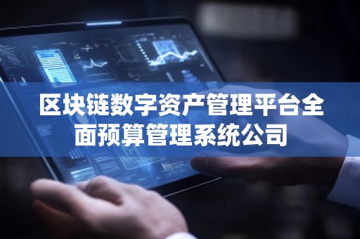 区块链数字资产管理平台全面预算管理系统公司