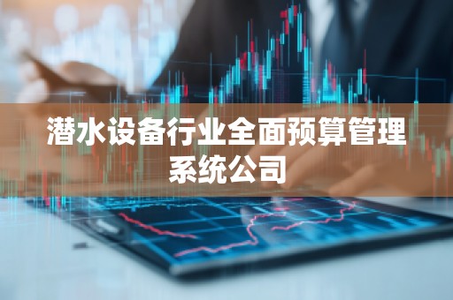 潜水设备行业全面预算管理系统公司