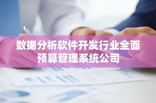 数据分析软件开发行业全面预算管理系统公司