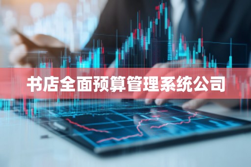 书店全面预算管理系统公司