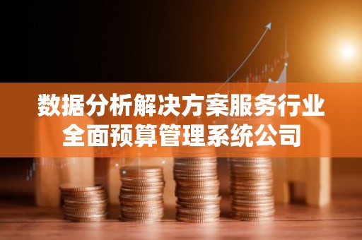 数据分析解决方案服务行业全面预算管理系统公司