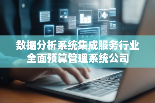 数据分析系统集成服务行业全面预算管理系统公司