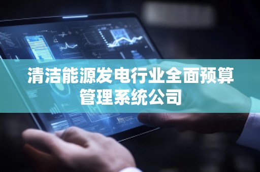 清洁能源发电行业全面预算管理系统公司