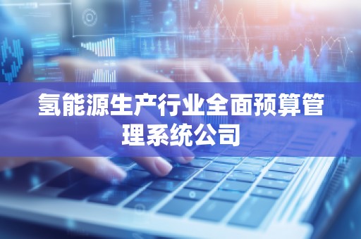 氢能源生产行业全面预算管理系统公司