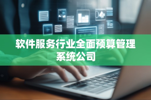 软件服务行业全面预算管理系统公司