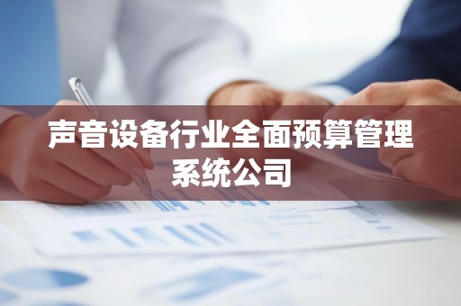 声音设备行业全面预算管理系统公司