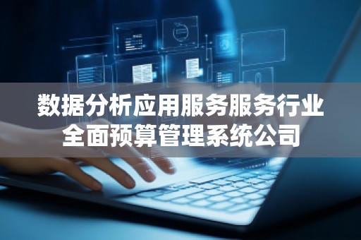 数据分析应用服务服务行业全面预算管理系统公司