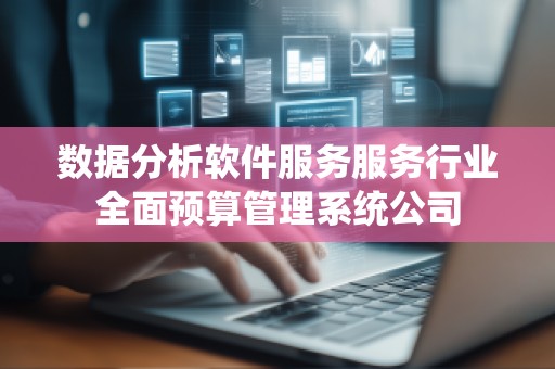 数据分析软件服务服务行业全面预算管理系统公司