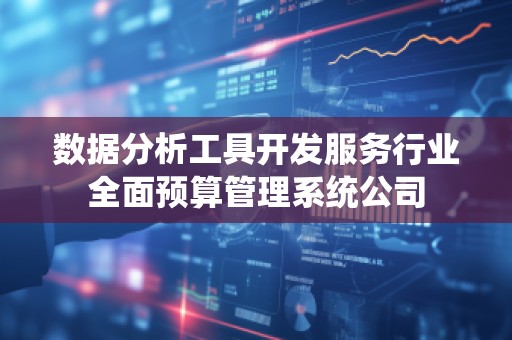 数据分析工具开发服务行业全面预算管理系统公司