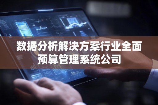 数据分析解决方案行业全面预算管理系统公司