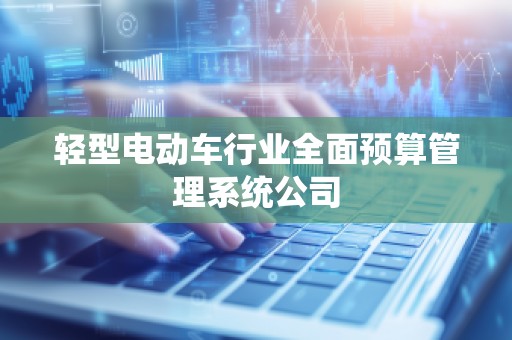 轻型电动车行业全面预算管理系统公司