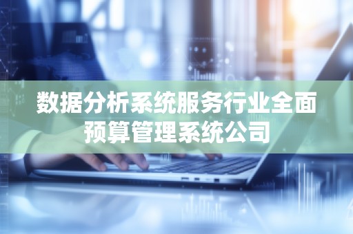 数据分析系统服务行业全面预算管理系统公司