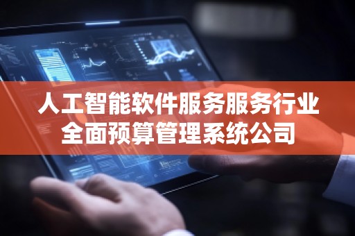 人工智能软件服务服务行业全面预算管理系统公司
