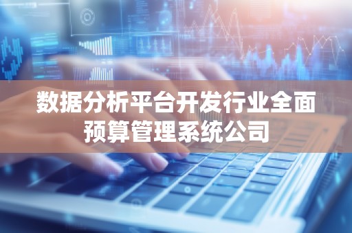 数据分析平台开发行业全面预算管理系统公司