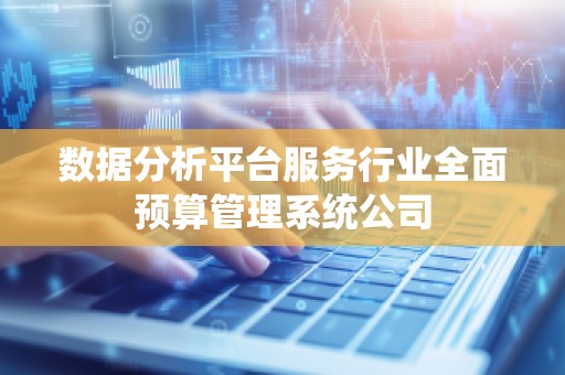 数据分析平台服务行业全面预算管理系统公司