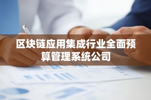 区块链应用集成行业全面预算管理系统公司