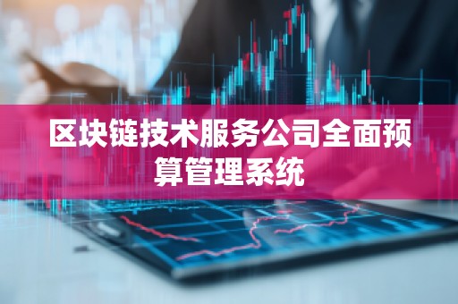 区块链技术服务公司全面预算管理系统