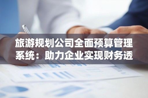 旅游规划公司全面预算管理系统:助力企业实现财务透明与高效管理