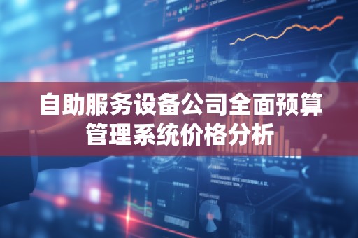 自助服务设备公司全面预算管理系统价格分析