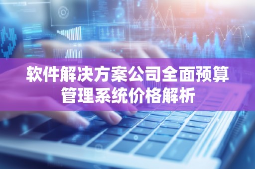 软件解决方案公司全面预算管理系统价格解析